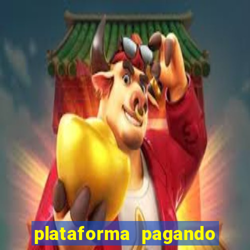 plataforma pagando bem hoje